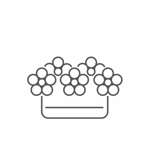 Box of flowers